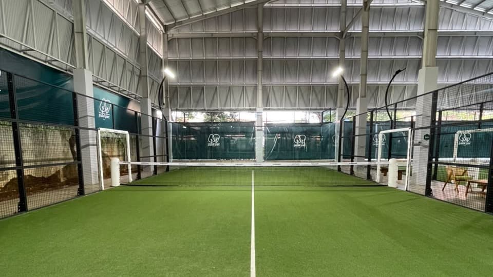 Court 6